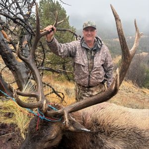 Sns Wilderness Bull Elk Wyoming 2025 4